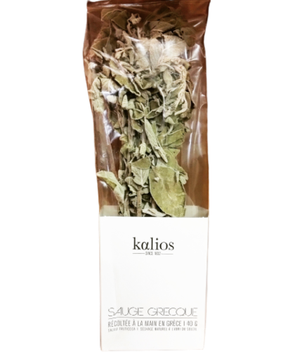 IMG_20230103_161359_742